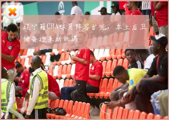 辽宁籍CBA球员阵容扩充,本土后卫储备迎来新机遇