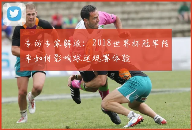 专访专家解读：2018世界杯冠军陪率如何影响球迷观赛体验