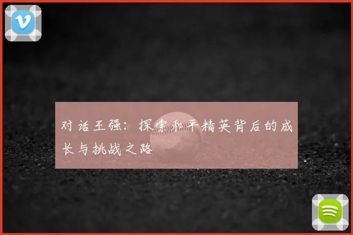 对话王强:探索和平精英背后的成长与挑战之路