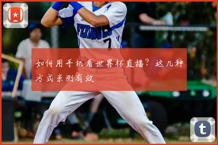 如何用手机看世界杯直播？这几种方式亲测有效