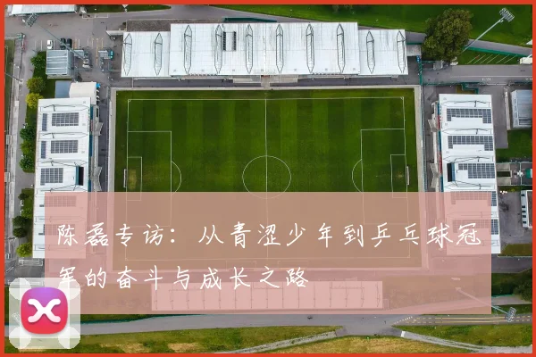 陈磊专访:从青涩少年到乒乓球冠军的奋斗与成长之路