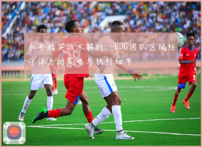和平精英战术解析：EDG团队区域防守体系的策略与执行细节