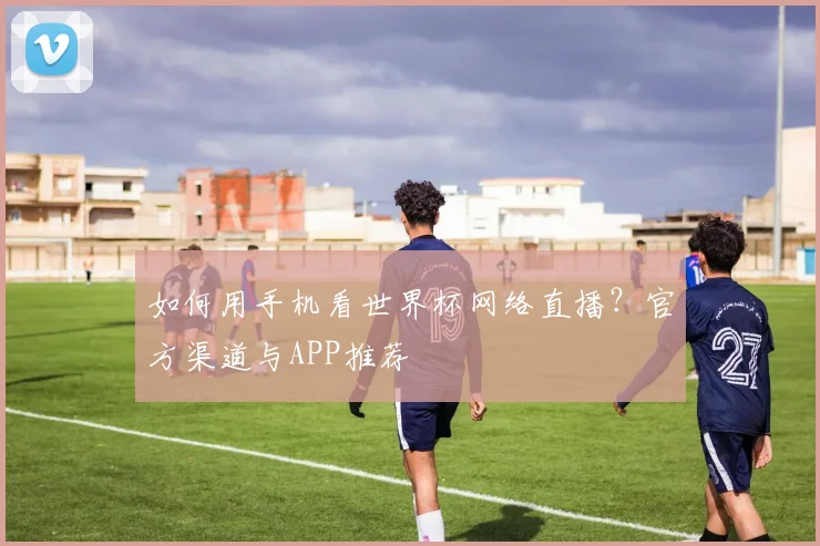 如何用手机看世界杯网络直播？官方渠道与APP推荐