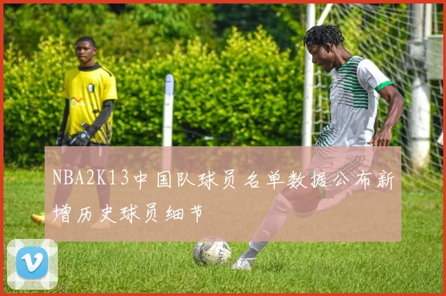 NBA2K13中国队球员名单数据公布新增历史球员细节